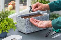 Woman carefully sowing seeds in container