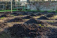 Homemade compost waiting to be raked over bed. 