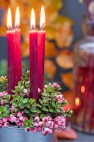 Arrangement with Hebe, Rowan berries and red candles.
