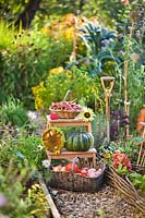 Display of harvest in vegetable garden. 