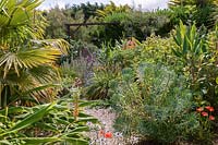 The Exotic Garden including Trachycarpus fortunei - Chusan plam, Hedychium, Eryngium, Euphorbia
