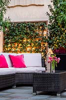 Outdoor seating area with pink cushions, with wall-mounted trellis supporting evergreen climber provides shelter