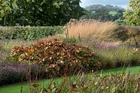 Border with mixed perennials including Darmera peltata, view of countryside beyond