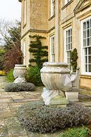 Large empty urns wrapped for frost protection in front of house with wall-trained Pyracantha 'Mohave' 
