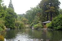 Dunedin New Zealand Botanical Gardens pond area.