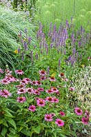 Tiers of herbaceous planting mixed with grasses