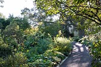 Wide border of perennials and seedheads beside path shaded by trees