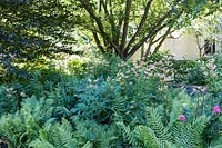 Planting combination for partial shade with lilies and ferns and Chanticleer Garden