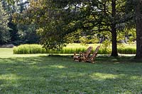 Pair of Adirondack chairs painted in animal motif set beneath tree, large bed of Carolina Gold rice in background