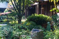 Whimsical cat sculpture set in bed of shade-loving plants, dish rock in foreground, craftsman-style home as backdrop