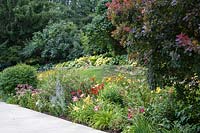 Driveway lined with sun loving perennials acceneted by mature Cotinus coggygria. Grassy hillside behind is backed by shrubs and hostas