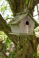 A rustic bird box made from Betula - Birch - branch hangs from a tree