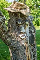 Cowboy tree face on deciduous tree trunk in backyard garden