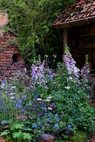 Herbaceous plants and wildflowers in cottage garden style border with rustic brick kiln and workshop beyond - RHS Chelsea Flower Show