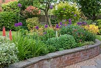 Curving raised bed planted with Geums,  purple alliums, nectaroscordum, lupins, Centaurea and Sedum.