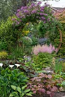 Circular arch clad in Rosa 'Veilchenblau' frames view of herbaceous borders beyond. Arum lilies, ligularias and pink astilbes in foreground.