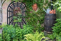 Angled mirror on wall giving illusion of larger garden