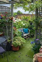 On a roof terrace, an opening in trellis leads to a seating area with a bench in front of 'Annabelle' hydrangea. 