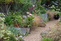 Gravel creates a hard wearing surface for a path that sidesteps between galvanised containers, agapanthus, coneflowers and ornamental grasses.