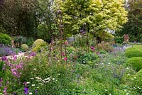 A country garden that combines open vistas and naturalistic style beds and borders, whilst mature trees, obelisks, box hedges and clipped balls add structure.  Behind, Acer platanoides 'Drummondii'.