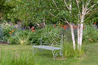 A metal bench and multi-stemmed West Himalayan Birch, Betula utilis var. jacquemontii by grass paths with small wild clumps of grasses and perennials. Behind a colourful mixed border is filled with poppies and irises.