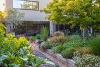 A contemporary house and courtyard, 20m x 18m, with gravel paths and raised central bed of drought tolerant plants of Euphorbia, Fleabane, ornamental grasses, sage, thyme and  alliums beneath the canopy of an Acer palmatum.