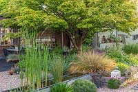 View over an old galvanised water trough transformed as a water feature, towards a raised bed of drought tolerant plants beneath an Acer palmatum. Beyond, an artist's studio, and covered dining area.