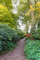 A path through The Quarry Garden at Dorothy Clive Garden, Willoughbridge, Staffordshire. Planting includes: Acers, Geraniums, Rhododendrons and Azaleas