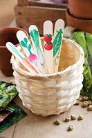 Decorated Ice lolly sticks as vegetable labels