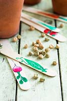 Decorated ice lolly sticks as vegetable labels