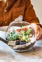 Using a radiator brush to clean inside of glass ball - Planting an open terrarium with succulents 