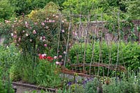 Walled kitchen garden with plant support for sweet peas, 