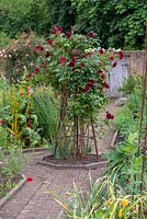 Rosa 'Highgrove' on an obelisk in the centre of a walled kitchen garden.