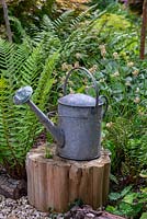 A galvanised watering can sitting on a slice of wood, infront of ferns and snowy wood rush.