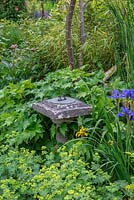 An old stone sundial is almost submerged beneath Alchemilla mollis and leafy Japanese anemones.