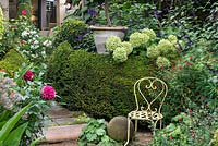 A quiet corner in a town garden with an ironwork chair set against a box hedge and surrounded in hydrangeas, salvias and dahlias.