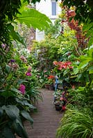 Lush tropical style town garden with decked path leading through packed borders to house.