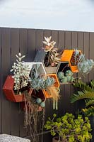 Painted metal wall mounted hexagonal pots, planted with a variety of succulents and grasses.