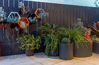 Container pots against a paling fence planted with a variety of plants featuring painted metal wall mounted hexagonal pots, planted with a variety of succulents and grasses.