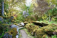 The Rockery criss-crossed by a network of pebbled paths at Hotel Endsleigh, Devon in spring with 