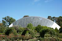 Botanical gardens Bicentennial Conservatory containing lowland rainforest plants and a canopy of trees.