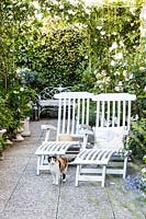 Recliners and evergreen planting in terrace garden, Milan, Italy. 