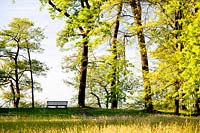 View to Chestnuts and Alders with bench