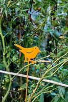 Ornamental bird pick in Parc de Ruisseau, Paris, France. 