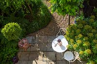 Bird's eye view of the patio with its standard bay - Laurus nobilis, elegant table and chairs, and thriving honey spurge - Euphorbia mellifera. 