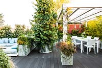 View along decked terrace with different seating areas separated by foliage plants, such as Parrota persica 'vanessa' in free-standing pot and a pergola under dining area 