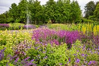 The Perennial Meadow at Scampston Hall Walled Garden, North Yorkshire, UK.  Planting includes Salvia x sylvestris 'Amethyst', Geranium 'Brookside', and Thermopsis caroliniana. 