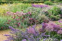 The Perennial Meadow at Scampston Hall Walled Garden, North Yorkshire, UK. Planting includes Allium cristophii, Nepeta racemosa 'Walker's Low' and Dianthus carthusianorum.