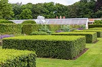 Clipped topiary Buxus sempervirens - Box cubes in The Spring and Summer Box Borders, at Scampston Hall Walled Garden, North Yorkshire, UK.