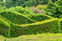 Clipped topiary Yew - Taxus hedges in The Sepentine Garden at Scampston Hall Walled Garden, North Yorkshire, UK. 